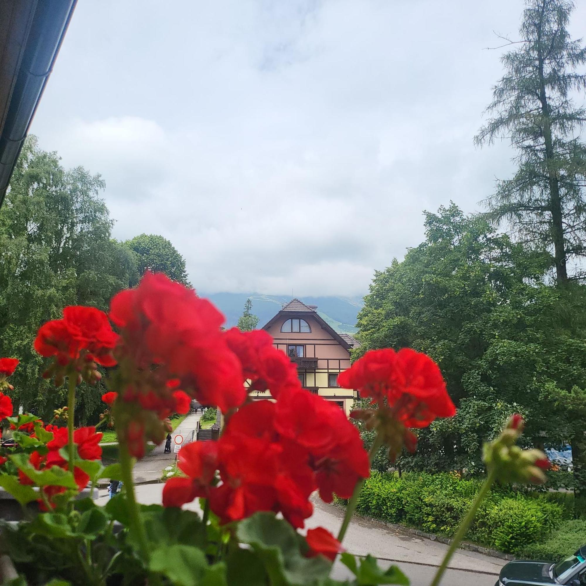 Penzion Slalom タトランスカ・ ロムニツァ エクステリア 写真